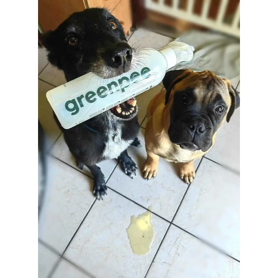 GreenPee Vizeletsemlegesítő 